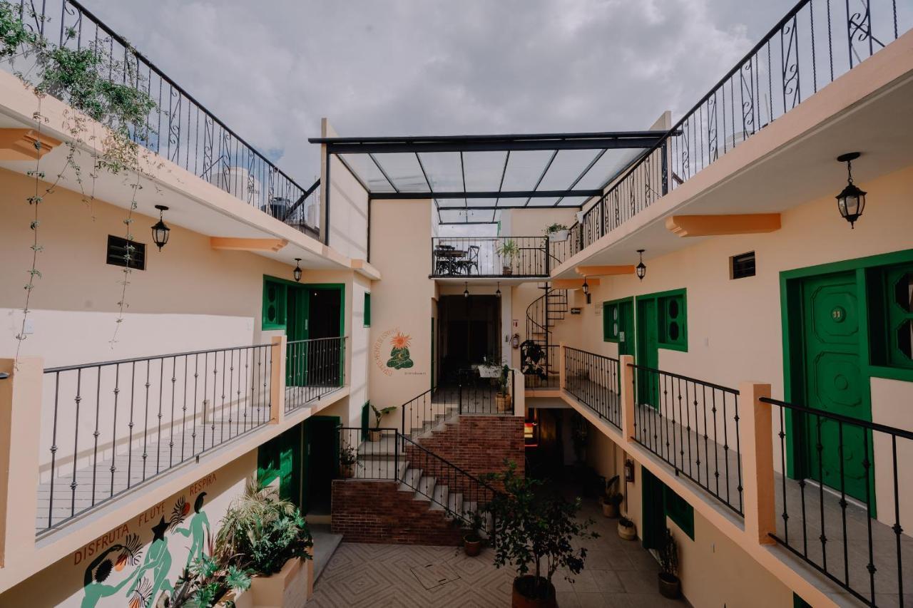 Hotel Cielo Y Selva, San Cristobal De Las Casas Ngoại thất bức ảnh